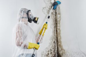 A professional disinfector in overalls processes the walls from mold with a brush. Removal of black fungus on the wall